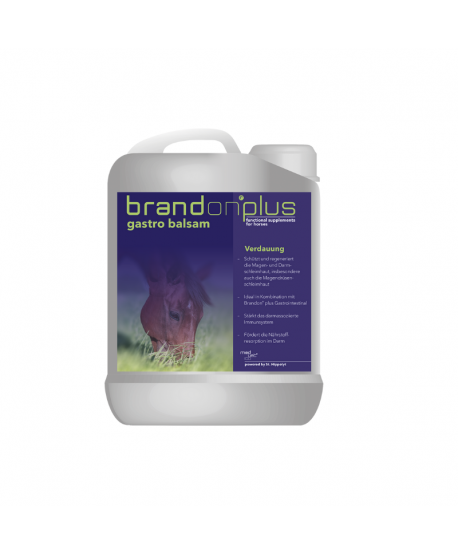 Brandon® plus Gastrobalsam