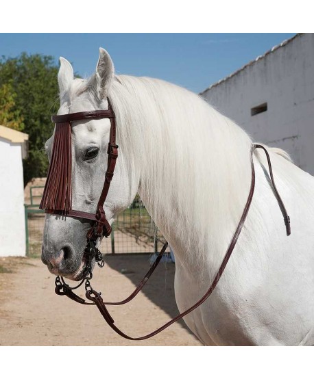 Cabezada Marjoman Española Alomada Piña Cuero con Riendas