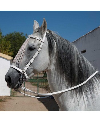 Cabezada Marjoman Española...