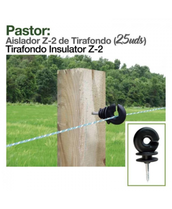 Pastor: Aislador Z-2 De...