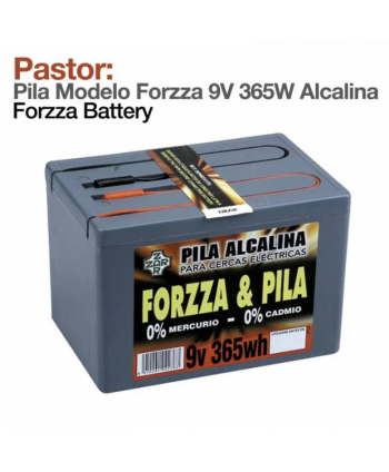 Pastor: Pila Modelo Forzza...