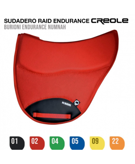 Sudadero Raid Endurance Creole 9000