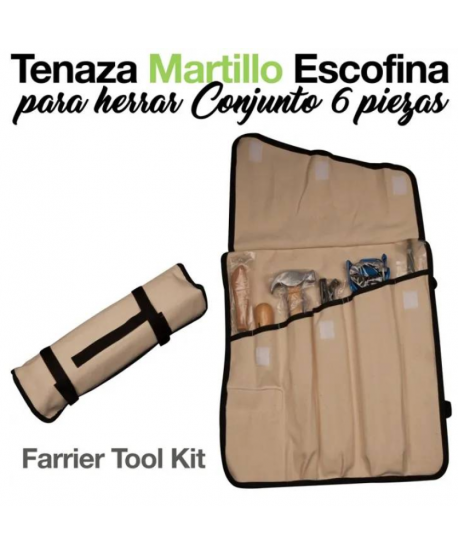 Tenaza Martillo Escofina Herrar Conjunto 6 Piezas