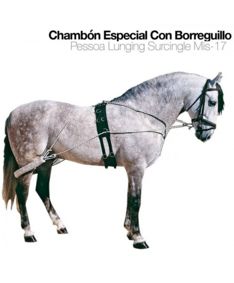 Chambón Especial Con Borreguillo Mis-17