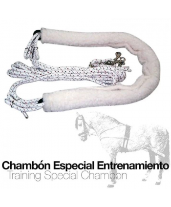 Chambón Especial...