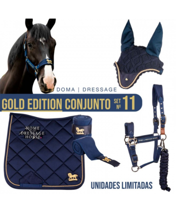 Conjunto Nº11 Gold Edition...