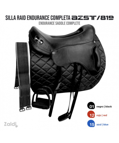 Silla Raid Endurance Azst 819 Completa