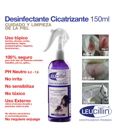 Zaldi Desinfectante Cicatrizante Leucillin