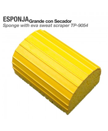 Esponja Grande Con Secador...