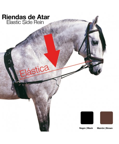 Riendas Atar Elástica 1836