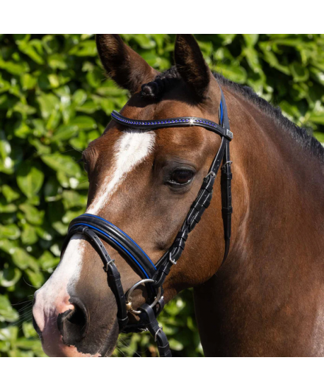 Cabezada Mineo Pony Snaffle Negro