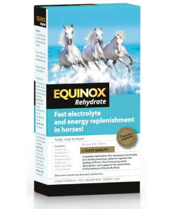 EQUINOX Rehydrate 1 KG