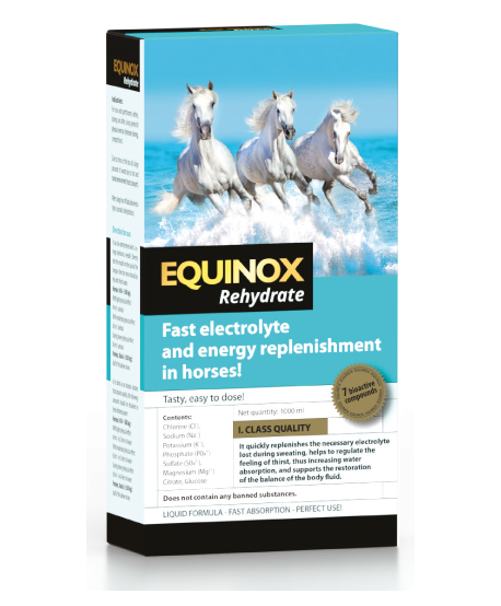 EQUINOX Rehydrate 1 KG