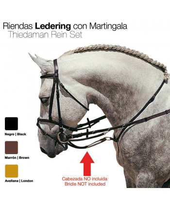 Riendas Ledering Con...