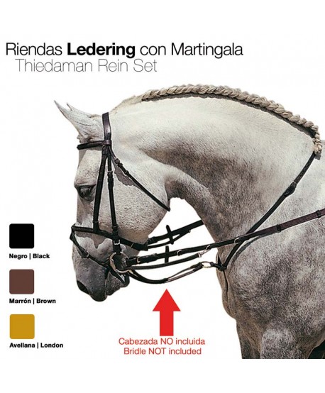 Riendas Ledering Con Martingala 1814