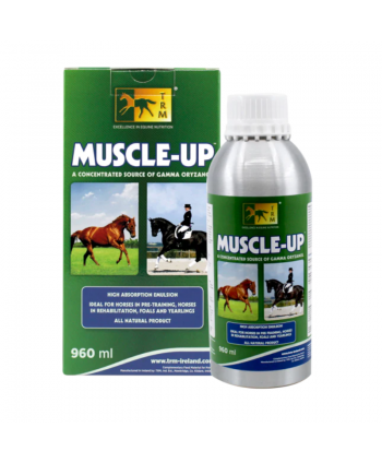 MUSCLE UP 450ML