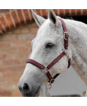 Cabezada de caballo acolchado liso