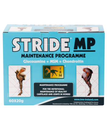 Stride MP 60X20 GR