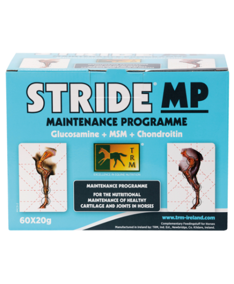 Stride MP 60X20 GR