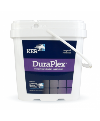 DuraPlex KER 4 Kg