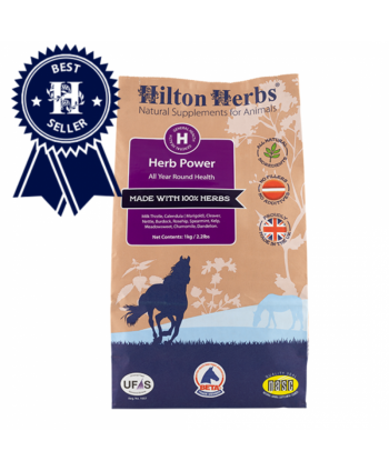 Herb Power Hilton Herbs