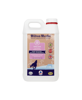 DE-TOX Gold Hilton Herbs 3 L