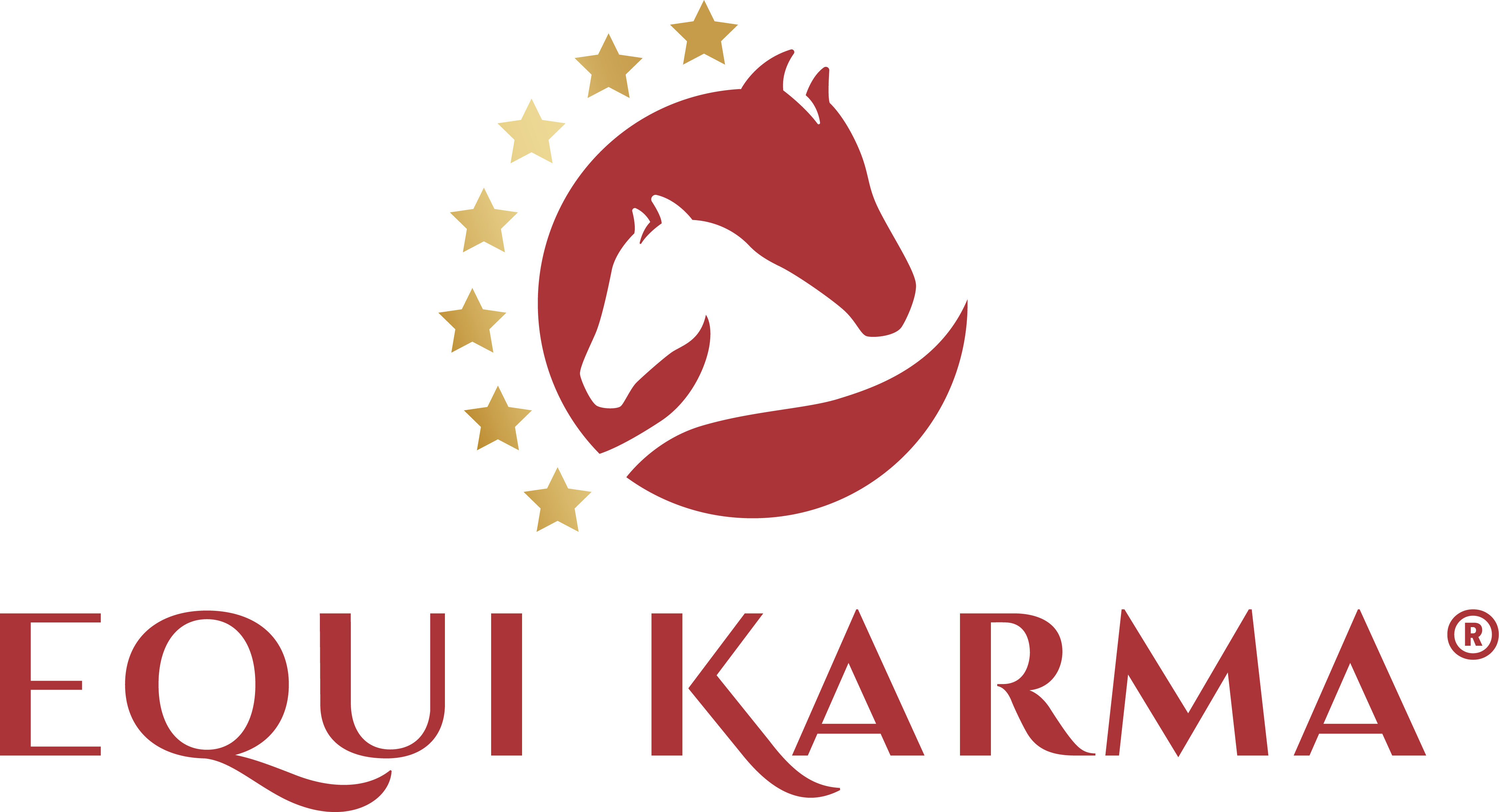 Equi Karma