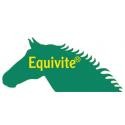 Equivite