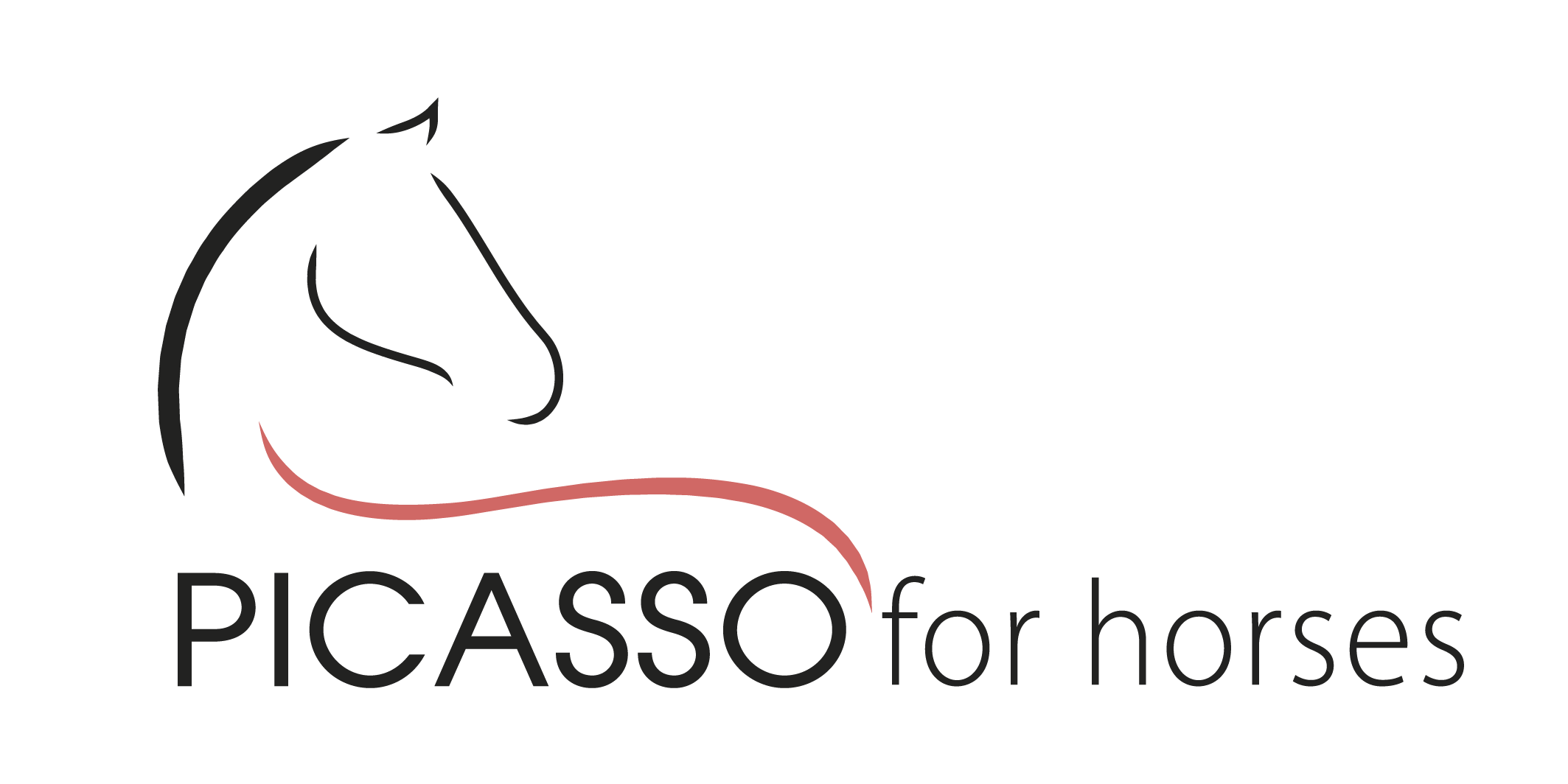 Picasso for Horses